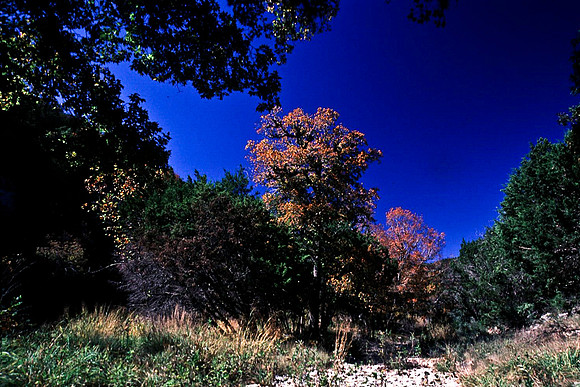 47910_B16_SL_COLOR_EL_PASO_TO_RTE39_TO_BIRD_PARK_TX_97_06.jpg