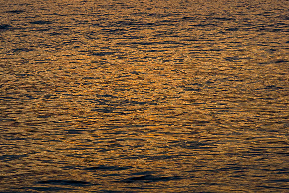 84675_ZV4N_7002