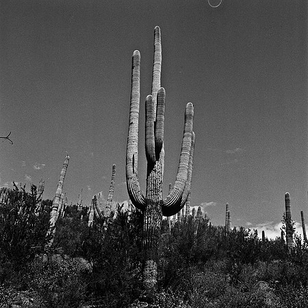 6018_FM_BW_TUCSON_AZ_05_9.jpg