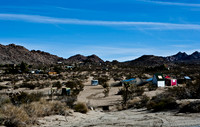 36377_DG_COLOR_JOSHUA_TREE_NATL_PARK_29_PALMS_CALIFORNIA_CA_USA_2007_ZV4N_1311