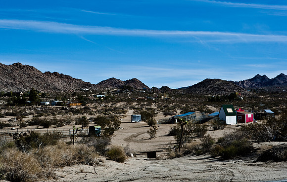 36377_DG_COLOR_JOSHUA_TREE_NATL_PARK_29_PALMS_CALIFORNIA_CA_USA_2007_ZV4N_1311