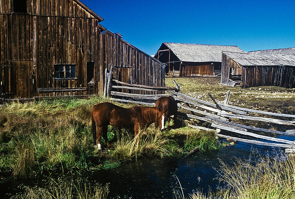 47445_B5_SL_COLOR_FROM_TWIN_LAKE_TO_STRINGTON_RAIL_COLORADO_WY_97_03.jpg