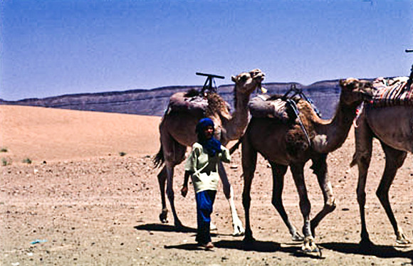 3189_SL_COLOR_TAMGROUTE_DUNES_MAROCCO_II_1998_9