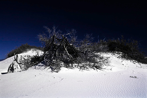 47895_B16_SL_COLOR_LA_MESILLA0_TO_WHITE_SOUNDS_NAT_MNY_HWY20_NM_97_4020.jpg