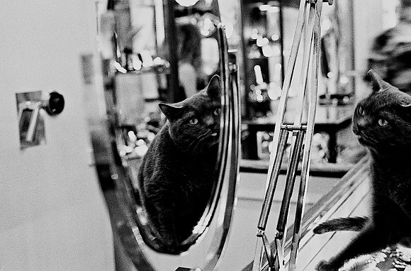 7716_FM_BW_NEW_ORLEANS_LA_01_1.jpg