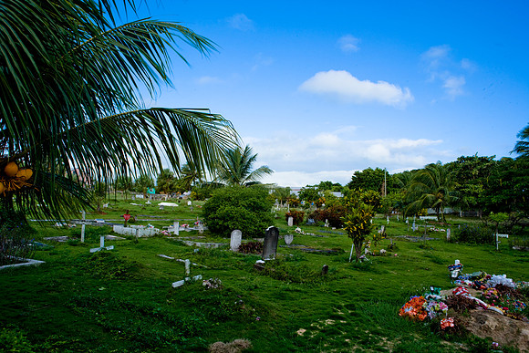 36291_DG_Color_West_Indies_Harbour_Island_BahamasZV4N2212