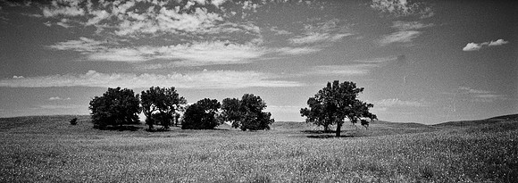 7552_FM_BW_XPAND_AZ_01_10.jpg