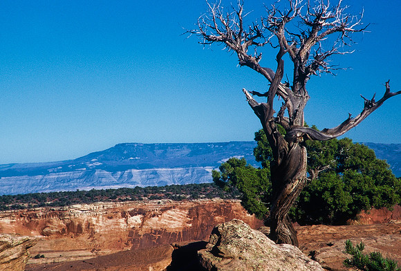 47479_B5_SL_COLOR_FROM_DOLORES_TO_CORTEZ_VERDE_NAT_PARK_COLORADO_WY_97_06.jpg