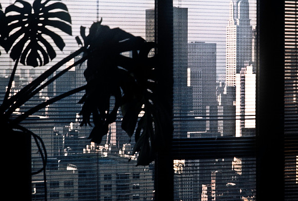 64034_B1_SL_COLOR_NY_82_02.jpg