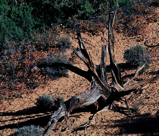 06772_B10_SL_COLOR_SL_COLOR_ARCHES_NAT._PARK_UT_97_2303.jpg