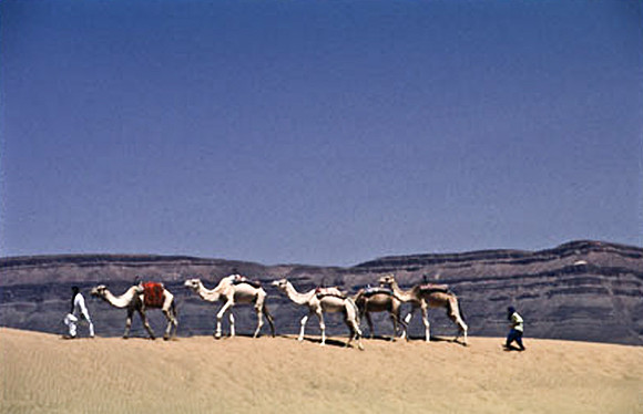 3191_SL_COLOR_TAMGROUTE_DUNES_MAROCCO_II_1998_10