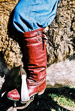 2624_FM_COLOR_35MM_PORTO_ALEGRE_BRAZIL_2004_24