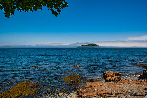 20060628_Maine_ZV4N1127