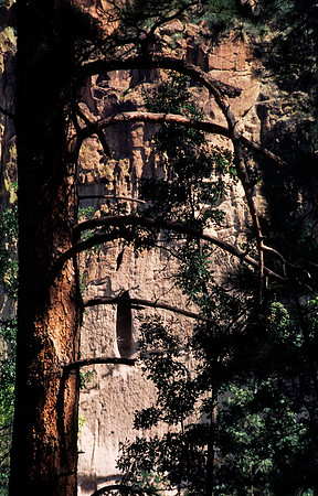 37876_B15_SL_COLOR_TAOS_TO_EMBUDA_TO_BANDELIER_NM_97_18.jpg