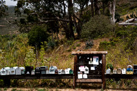 06583_ZV4N_3762_DG_COLOR_HWY_1_MILES_AFTER_NICKS_COVE_CALIFORNIA_CA_USA_2007_