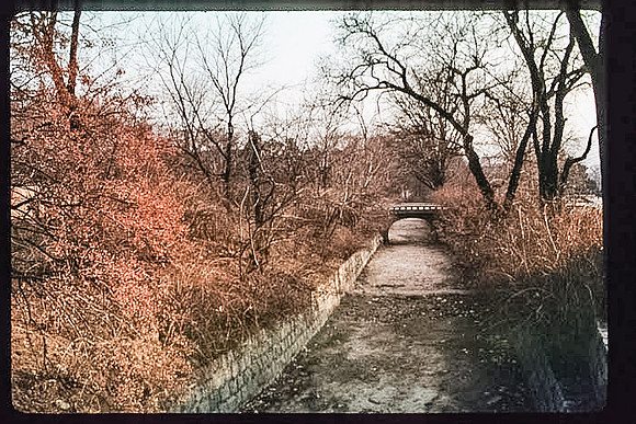 1988_Korea_197