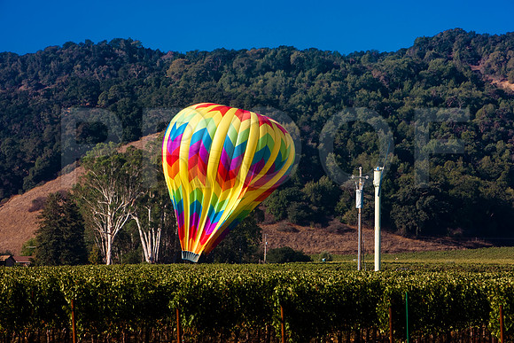 20080904_DVD25_DG_USA_Los_Olivos_CA_20080904_DVD25_DG_USA_Napa_CA_4704_full_blead