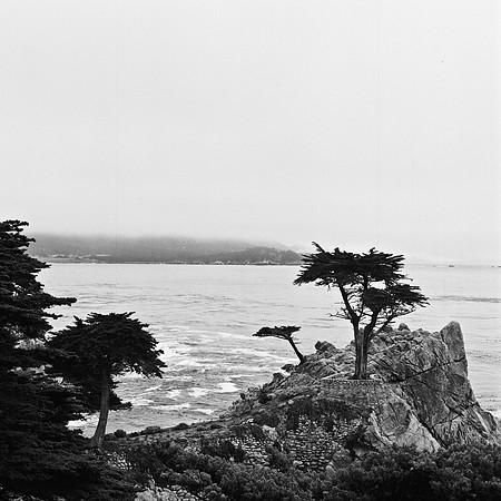 2368_FM_BW_CARMEL_CA_02_5.jpg