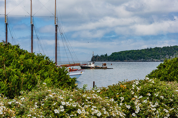 20060628_Maine_ZV4N1093