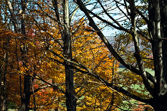 0336_FM_COLOR_MINESOTA_99_10.jpg