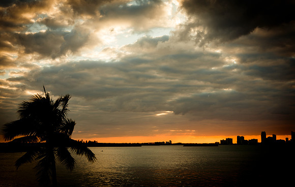 0041_DG_Miami_Sky_line_Florida_USA_20095L8Y1688