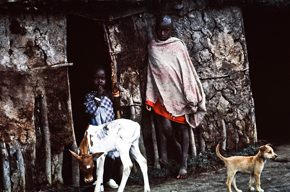 55422_SL_COLOR_TRIBE_CAMP_MASAI_KENYA_AFRICA_1989_10