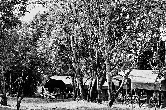 B3_82001_BW_194_New_Safari_Lion_Track_Africa_89_25