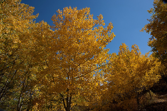 20080829_DVD15_DG_USA_Aspen_2133_full_blead