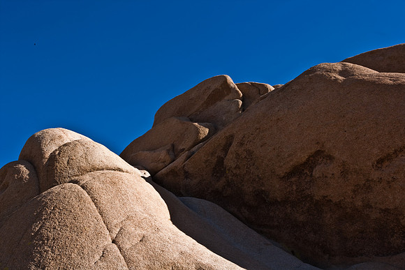 06646_DG_COLOR_JOSHUA_TREE_NAT_PARK_29_PALMS_CALIFORNIA_CA_USA_2007_ZV4N_480