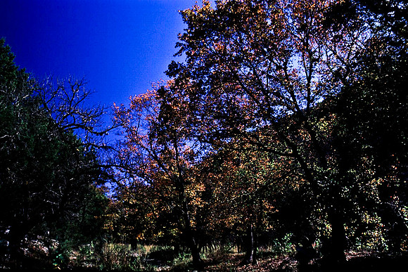 47910_B16_SL_COLOR_EL_PASO_TO_RTE39_TO_BIRD_PARK_TX_97_13.jpg
