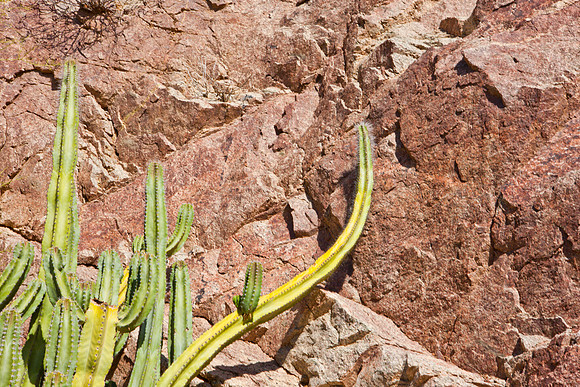 0031_La_Arizona_5L8Y5484