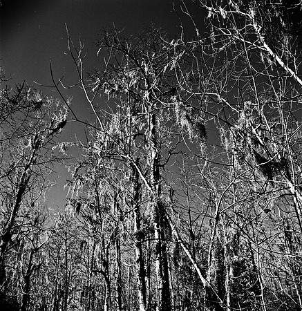 7747_FL_BW_LOUISIANA_01_2.jpg