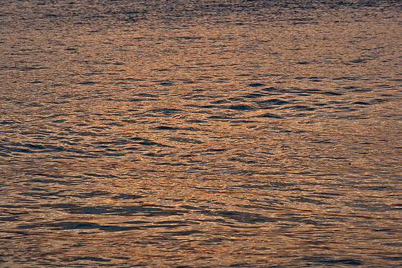 85543_ZV4N6998_Miami_To_Sanibel_Island_FL