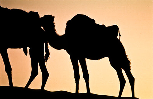 3204_SL_COLOR_MERZOUGA_SHAHARA_MAROCCO_II_1998_8