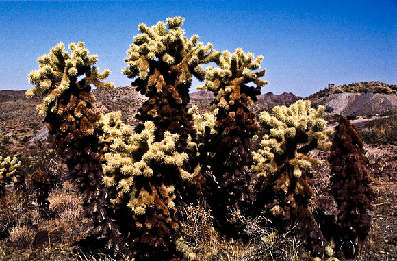 47806_B13_SL_COLOR_ROUTE_66_AZ_97_3.jpg