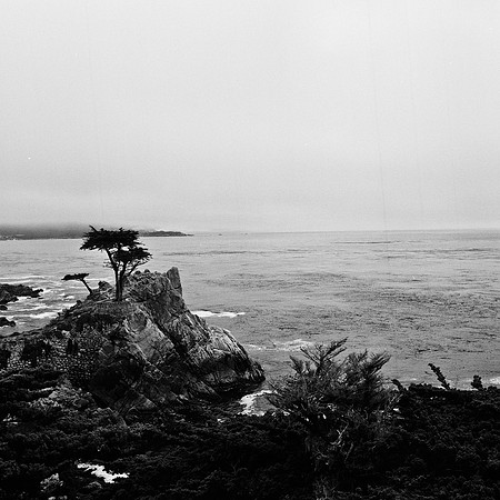 2367_FM_BW_CARMEL_CA_02_2.jpg