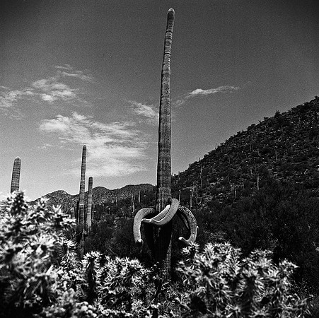 6017_FM_BW_TUCSON_AZ_05_6.jpg