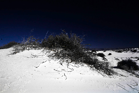 47895_B16_SL_COLOR_LA_MESILLA0_TO_WHITE_SOUNDS_NAT_MNY_HWY20_NM_97_3818.jpg