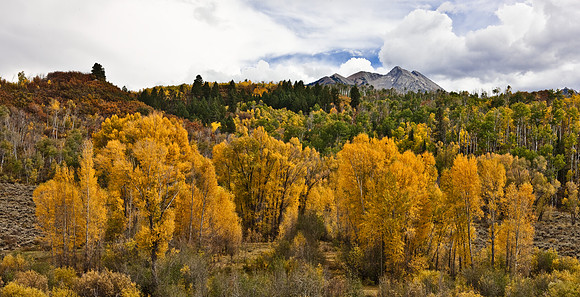 200828_DVD12_DG_USA_Aspen_1616_full_blead
