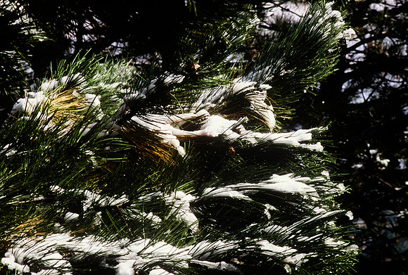 47429_B5_SL_COLOR_HOT_SULPHUR_HWY40_COLORADO_WYOMING_97_12.jpg