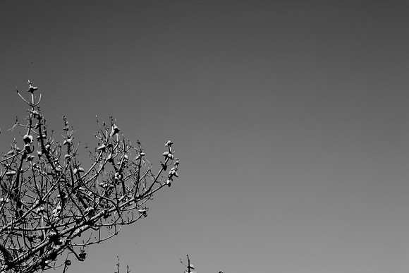 5L8Y0989