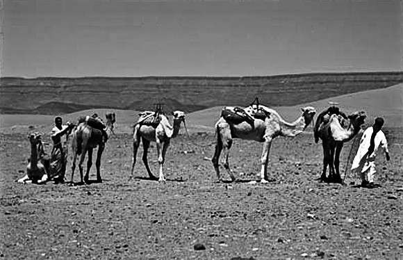 3194_SL_COLOR_TAMGROUTE_DUNES_MAROCCO_II_1998_3