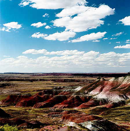 6142_COLOR_SQ_PAINTED_DESERT_AZ_USA_05_2.JPG