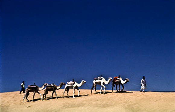 3193_SL_COLOR_TAMGROUTE_DUNES_MAROCCO_II_1998_15