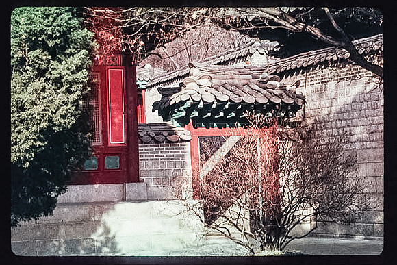 1988_Korea_279