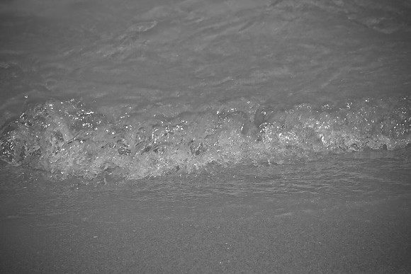 85766_FL_DG_IMG_2845