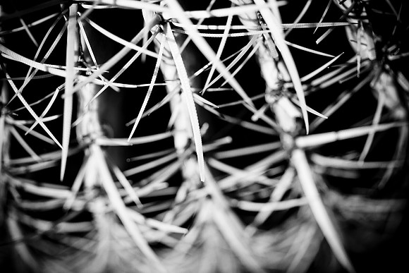0031_La_Arizona_5L8Y5177