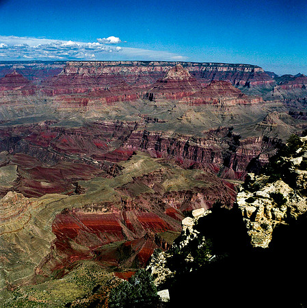 6122_COLOR_SQ_Grand_Cayon_National_Park_ARIZONA_USA_05_6.jpg