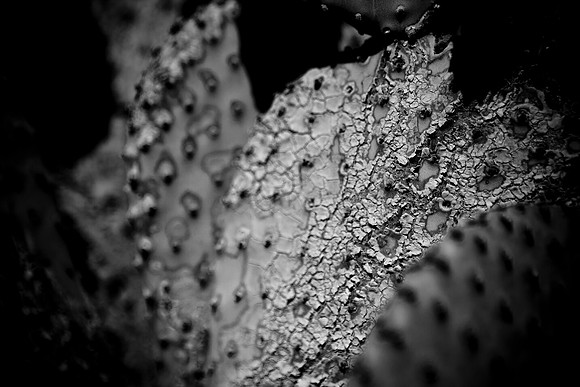 0031_La_Arizona_5L8Y5237