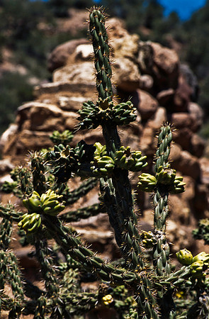 37881_B15_SL_COLOR_JEMEX_TO_SANTA FE_NM_97_06.jpg